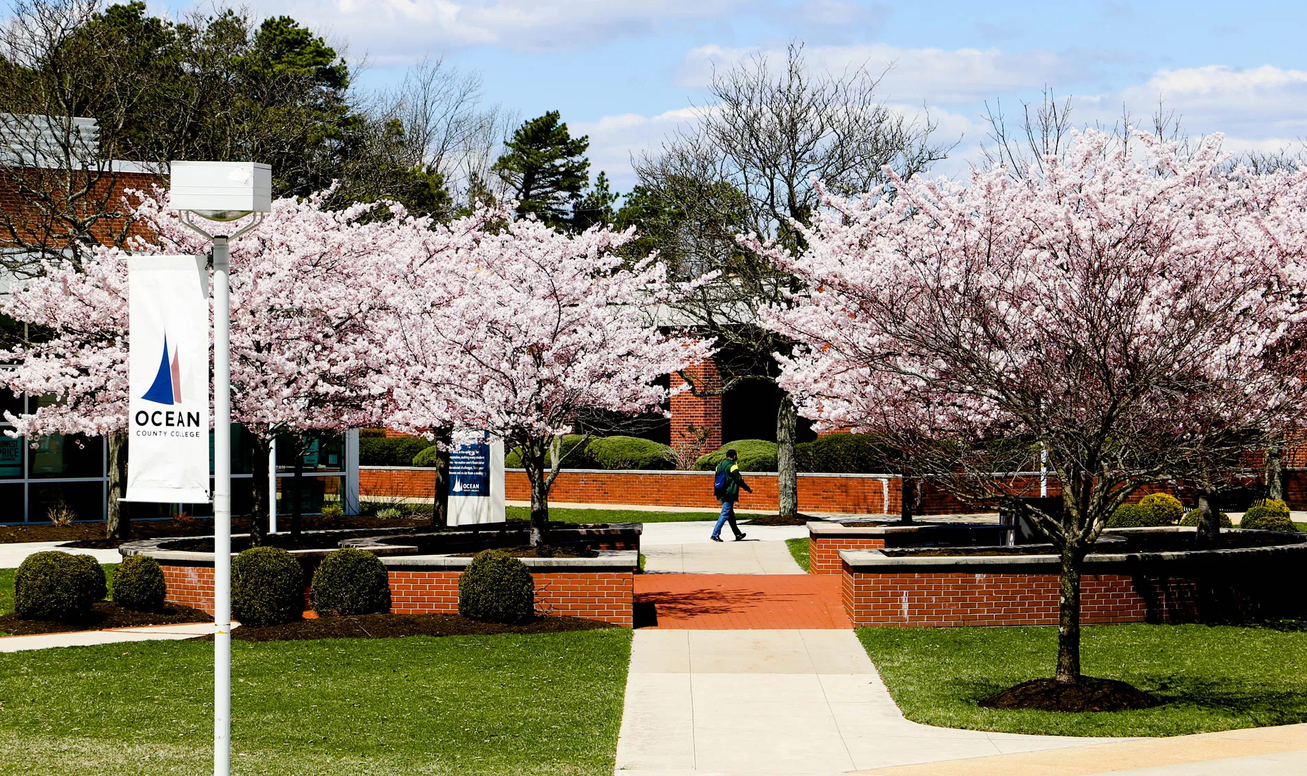 campus in the spring