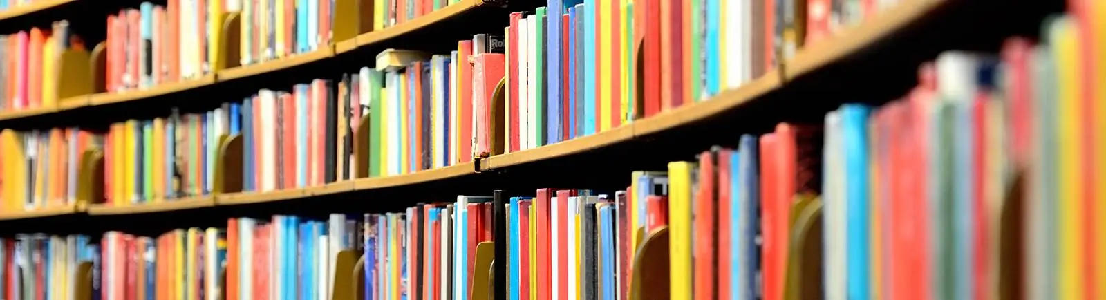 rows of books on shelves