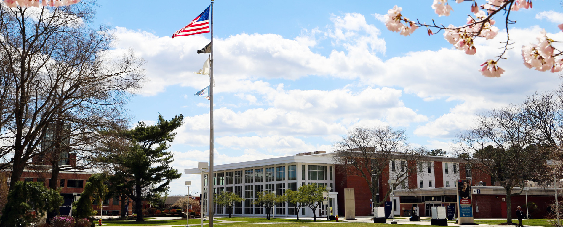 campus mall in the springtime