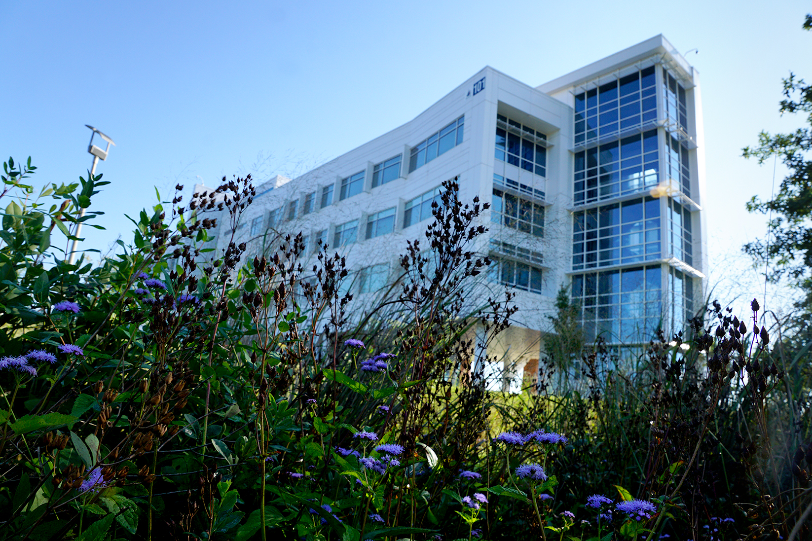 Gateway building seen through trees