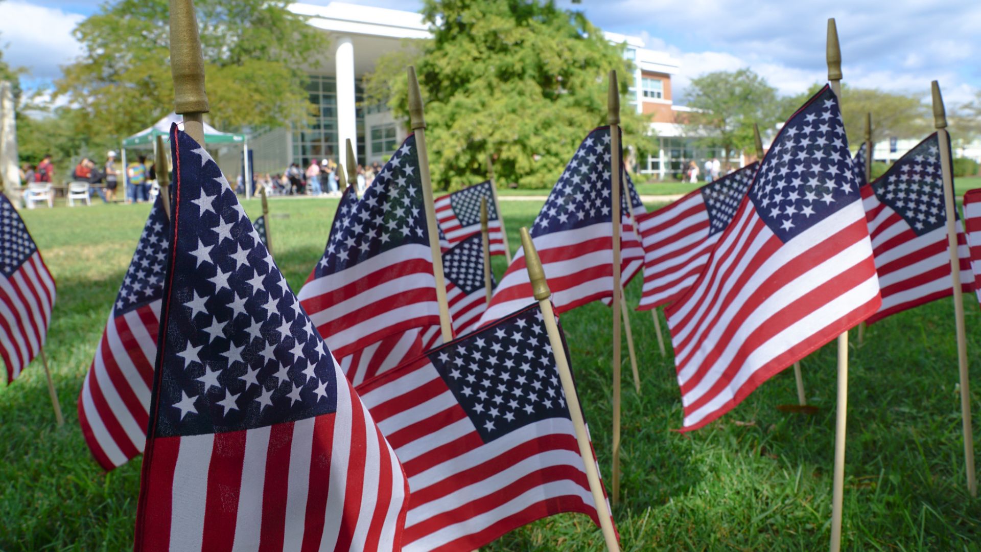 American Flags placed in the ground