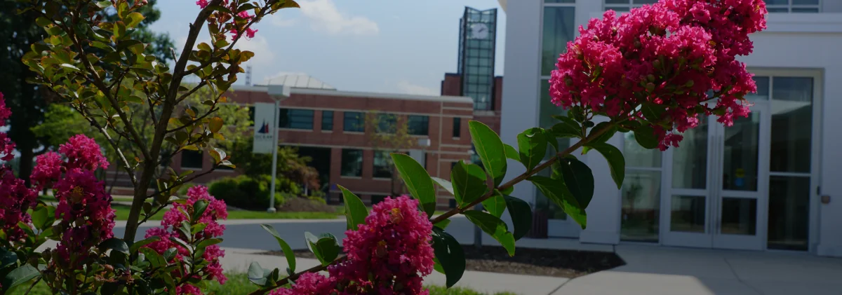 flowers in front of building