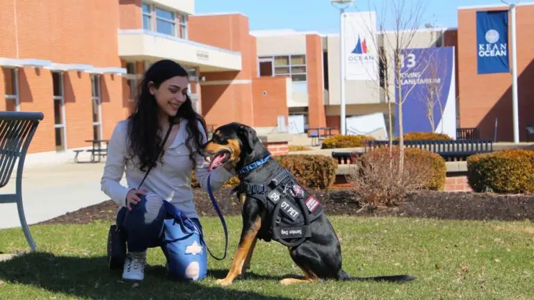 woman and service dog