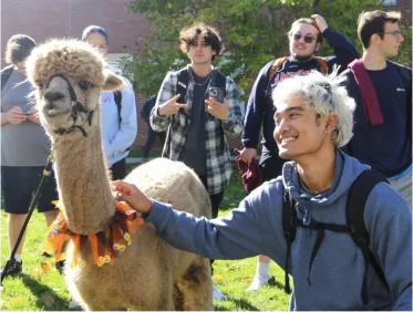 student petting llama