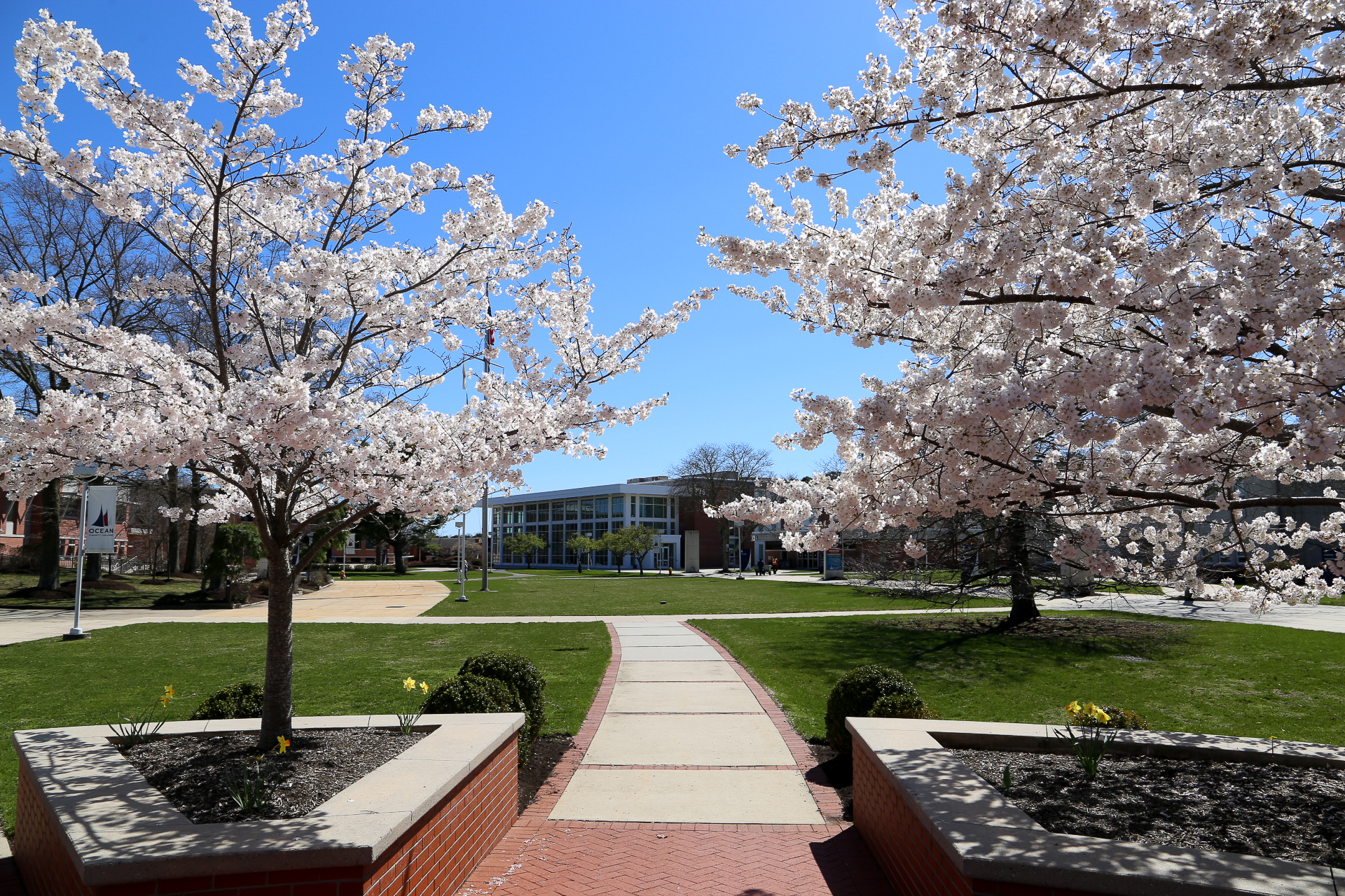 ocean county college campus mall in the spring